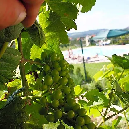 Weinlandhof