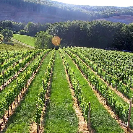 Weinlandhof * Klöch