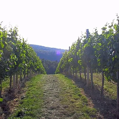 Weinlandhof * Klöch