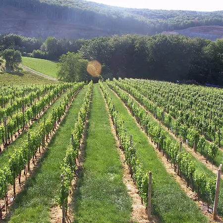 Weinlandhof Ξενοδοχείο