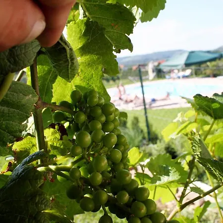 호텔 Weinlandhof *