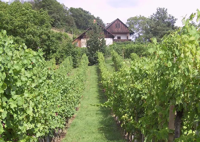 Weinlandhof * Klöch