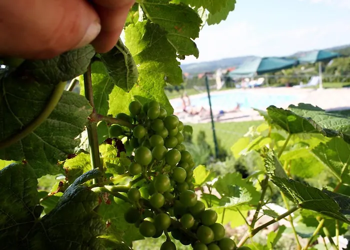 酒店 Weinlandhof *