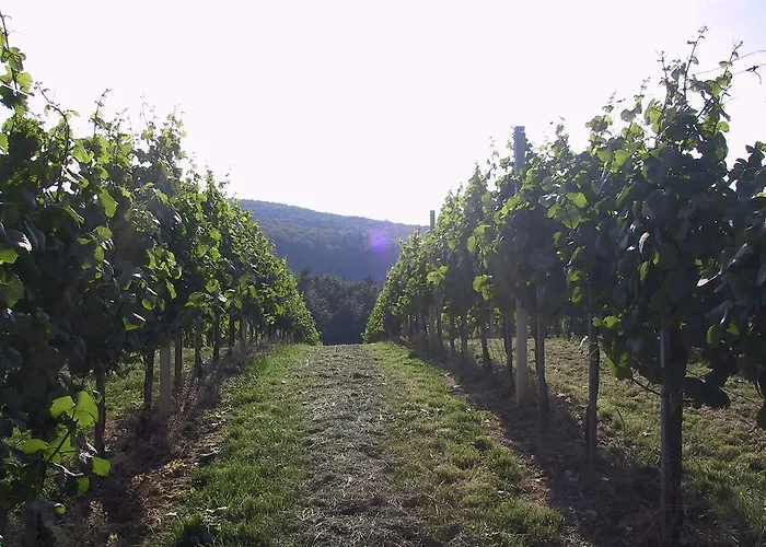 酒店 Weinlandhof Klöch